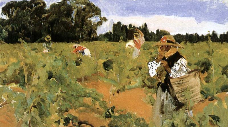 Joaquin Sorolla Sherry grape mining